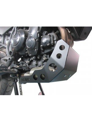 VARIKLIO APSAUGA TRIUMPH TIGER 800 PLIENAS